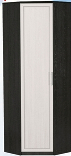 Шкаф для одежды угловой ДЛЯ ГОСТИНОЙ ШОУ-695 Венге/Дуб выбеленный в Снежногорске - snezhnogorsk.mebel54.com | фото